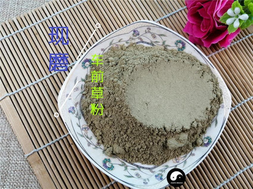 TCM Herbs Powder Che Qian Cao 车前草, Plantain Herb, Herba Plantaginis-Health Wisdom™