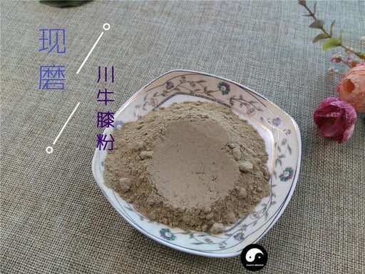 TCM Herbs Powder Chuan Niu Xi 川牛膝, Radix Cyathulae, Cyathula Officinalis Kuan Root-Health Wisdom™