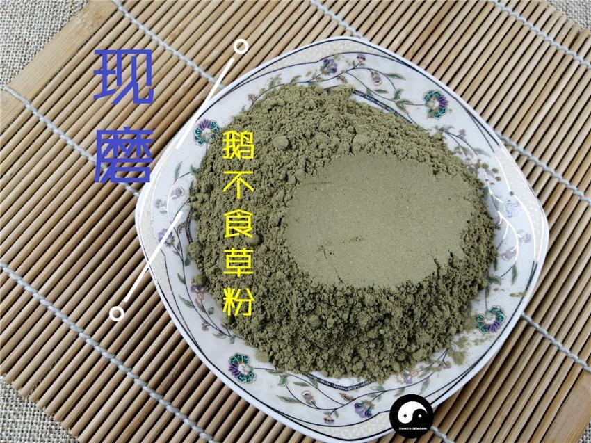 TCM Herbs Powder E Bu Shi Cao 鵝不食草, Small Centipeda Herb, Herba Centipedae-Health Wisdom™