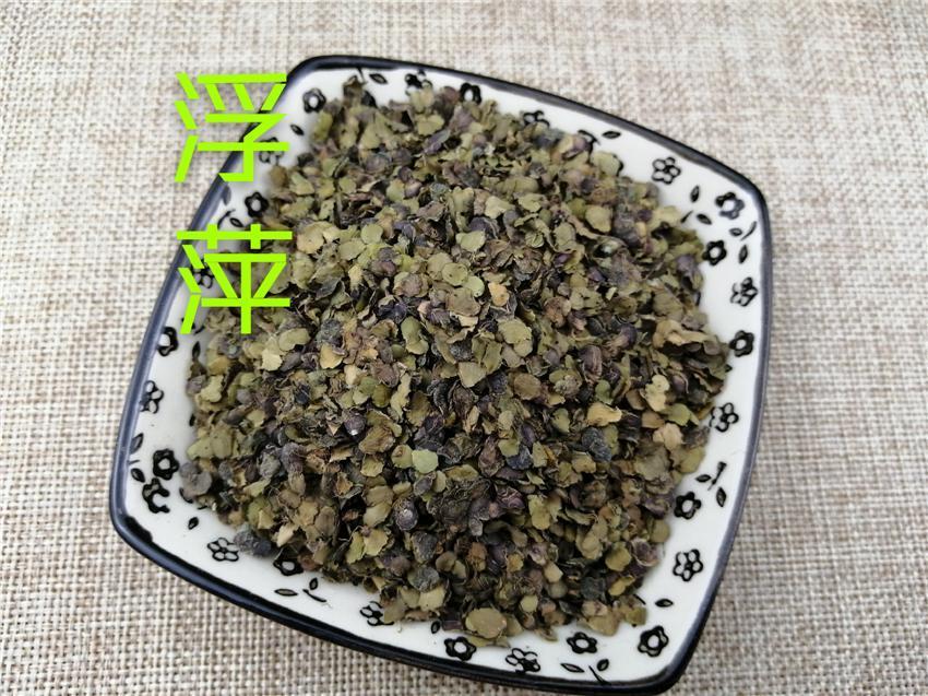 TCM Herbs Powder Fu Ping Cao 浮萍草, Herba Spirodelae, Common Ducksmeat Herb-Health Wisdom™