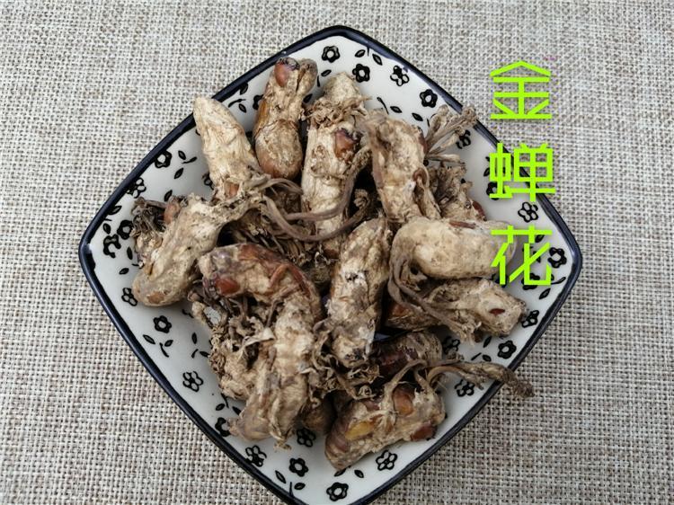 TCM Herbs Powder Jin Chan Hua 金蝉花, Ophiocordyceps Sobolifera, Cicada Fungus-Health Wisdom™