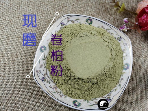 TCM Herbs Powder Juan Bai 卷柏, Tamariskoid Spikemoss Herb, Herba Selaginellae, Shi Bai-Health Wisdom™