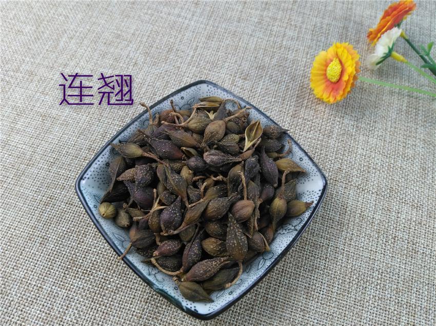 TCM Herbs Powder Lian Qiao 連翹, Lao Qiao, Fructus Forsythiae, Forsythia Suspensa-Health Wisdom™