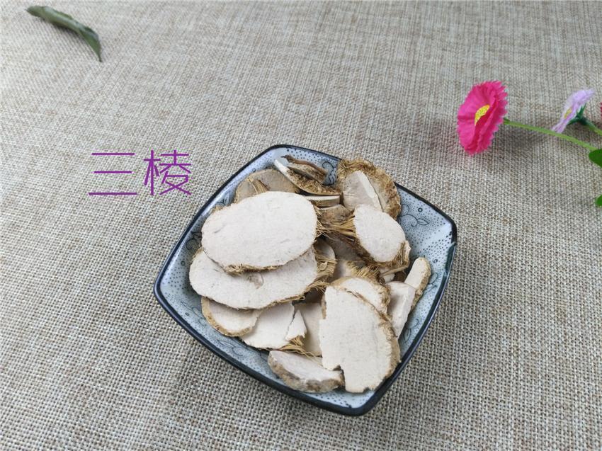 TCM Herbs Powder San Leng 三棱, Rhizoma Sparganii, Common Burreed Rhizome-Health Wisdom™