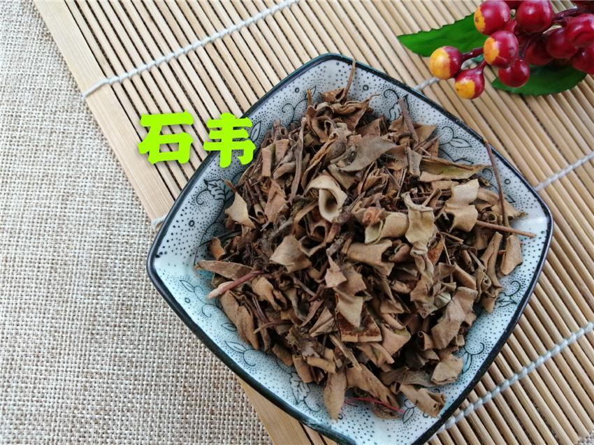TCM Herbs Powder Shi Wei 石韋, Folium Pyrrosiae, Pyrrosia Leaf-Health Wisdom™