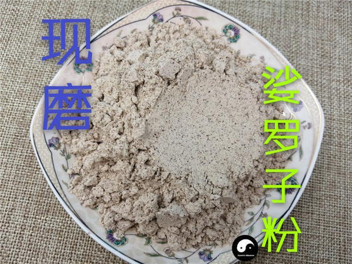 TCM Herbs Powder Suo Luo Zi 娑罗子, Chinese Buckeye Seed, Semen Aesculi, Su Luo Zi, Kai Xin Guo-Health Wisdom™