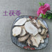 TCM Herbs Powder Tu Fu Ling 土茯苓, Rhizoma Smilacis Glabrae, Glabrous Greenbrier Root-Health Wisdom™