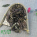 TCM Herbs Powder Xia Ku Cao Qiu 夏枯草球, Spica Prunellae, Common Selfheal Fruit-Spike, Common selfheal spike-Health Wisdom™