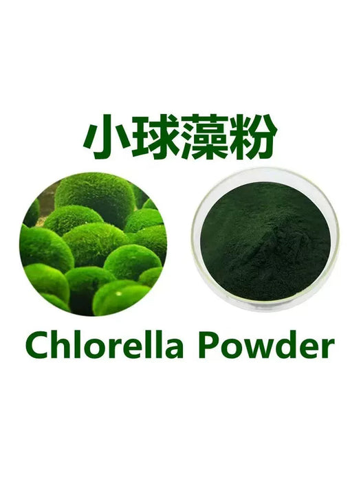 TCM Herbs Powder Xiao Qiu Zao 小球藻, Chlorella Pyrenoidosa, Chlorella Powder-Health Wisdom™