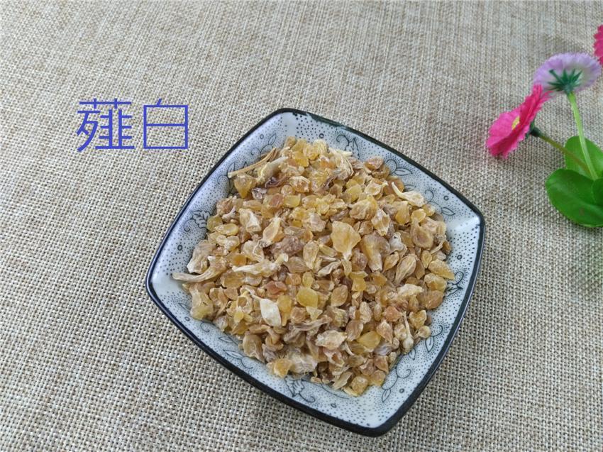 TCM Herbs Powder Xie Bai Tou 薤白頭, Bulbus Allii Macrostemi, Longstamen Onion Bulb, Jiu Bai-Health Wisdom™