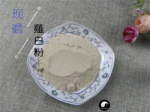 TCM Herbs Powder Xie Bai Tou 薤白頭, Bulbus Allii Macrostemi, Longstamen Onion Bulb, Jiu Bai-Health Wisdom™