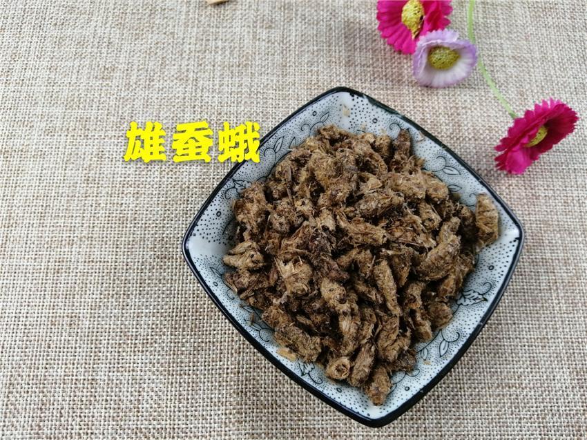 TCM Herbs Powder Xiong Can E 雄蚕蛾, Male Silkworm Moth-Health Wisdom™