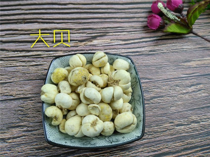 TCM Herbs Powder Zhe Bei Mu 浙贝母, Bulb Of Thunberg Fritillary, Bulbus Fritillariae Thunbergii-Health Wisdom™