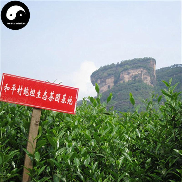 Tai Ping Hou Kui 太平猴魁 Green Tea-Health Wisdom™