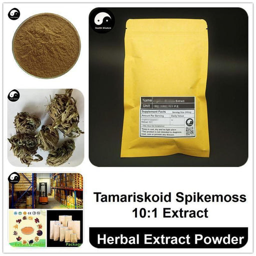 Tamariskoid Spikemoss Extract Powder, Selaginellae P.E. 10:1, Juan Bai-Health Wisdom™