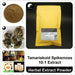 Tamariskoid Spikemoss Extract Powder, Selaginellae P.E. 10:1, Juan Bai-Health Wisdom™