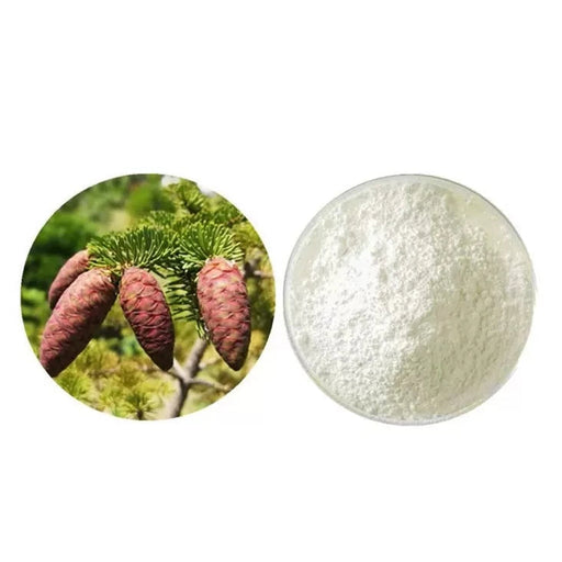Taxifolin Extract Powder 98%, Herba Pseudotsuga Menziesii P.E., Hu Pi Su