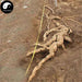 Tian Hua Fen 天花粉, Radix Trichosanthis, Mongolian Snakegourd Root, Gua Lou Gen