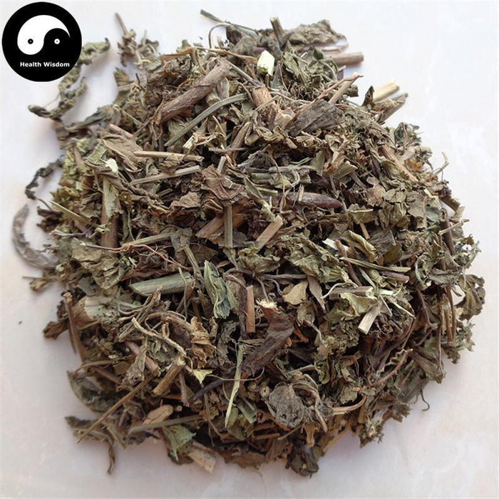 Tie Xian Cai 鐵莧菜, Copperleaf Herb, Herba Acalyphae
