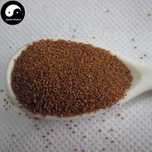 Ting Li Zi 葶藶子, Semen Lepidii, Tansymustard Seed, Pepperweed Seed, Du Xing Cai-Health Wisdom™