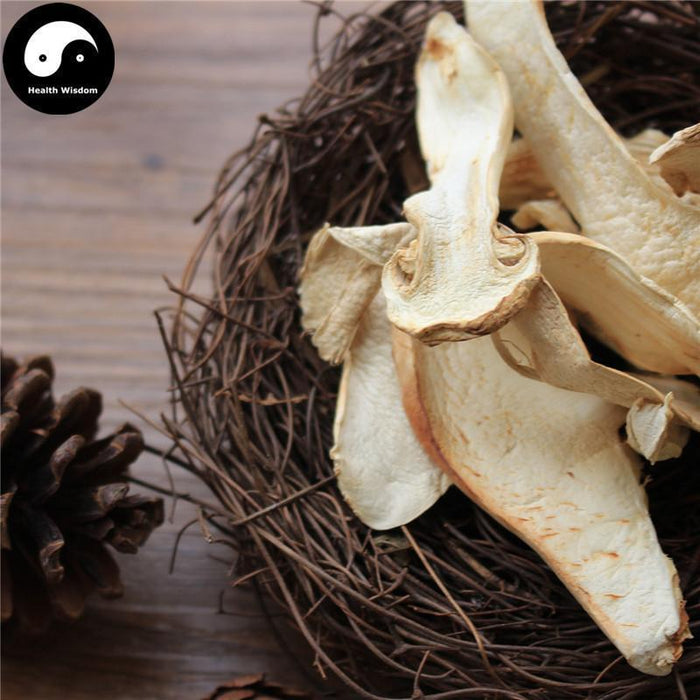 Tricholoma Matsutake, Chinese Rare Pine Mushroom, Song Kou Mo, Song Rong 松茸-Health Wisdom™