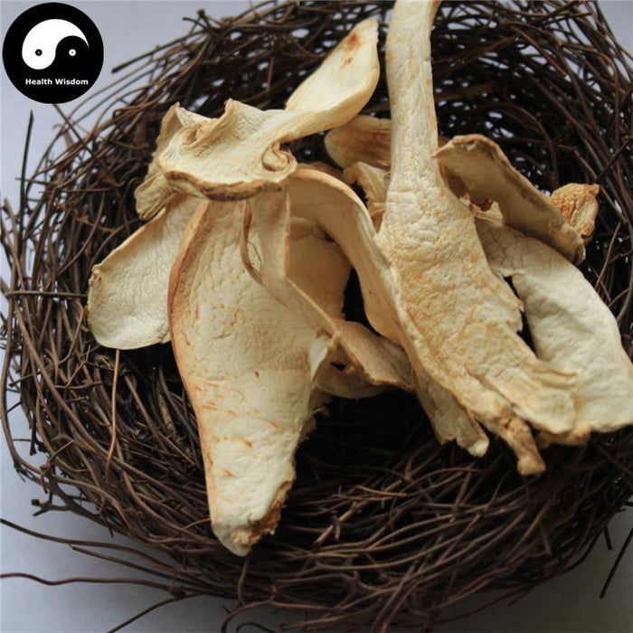 Tricholoma Matsutake, Chinese Rare Pine Mushroom, Song Kou Mo, Song Rong 松茸-Health Wisdom™