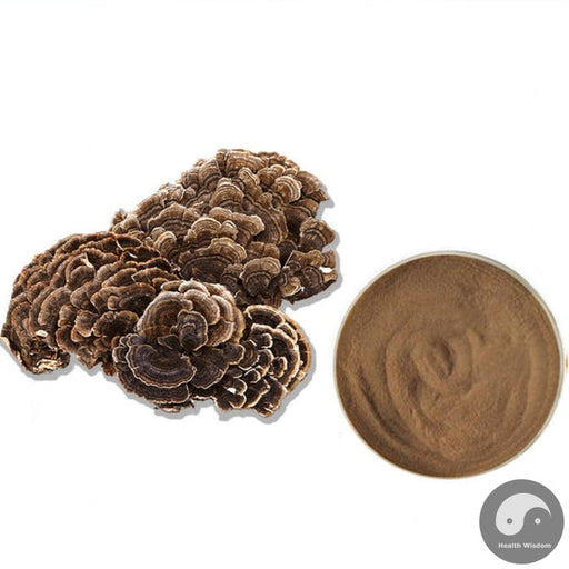 Turkey Tail Mushroom Extract Powder 10:1, Coriolus Versicolor P.E., Yun Zhi-Health Wisdom™