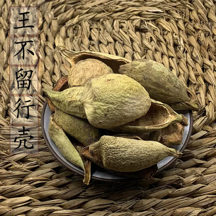 Wang Bu Liu Xing Ke 王不留行壳, Cowherb Shell, Gypsophila Vaccaria-Health Wisdom™
