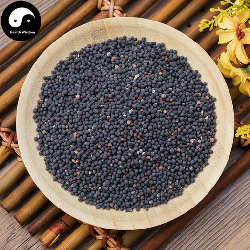 Wang Bu Liu Xing 王不留行, Cowherb Seed, Semen Vaccariae, Gypsophila Vaccaria-Health Wisdom™