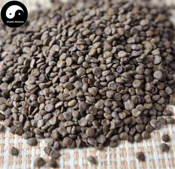 Wang Jiang Nan Zi 望江南子, Semen Cassiae Occidentalis, Fruit Of Coffee Senna-Health Wisdom™