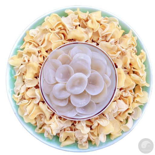 White Fungus, Dried Auricularia Auricula Mushroom, Agaric Wood Ear Fungus, Bai Yu Mu Er 白玉木耳-Health Wisdom™
