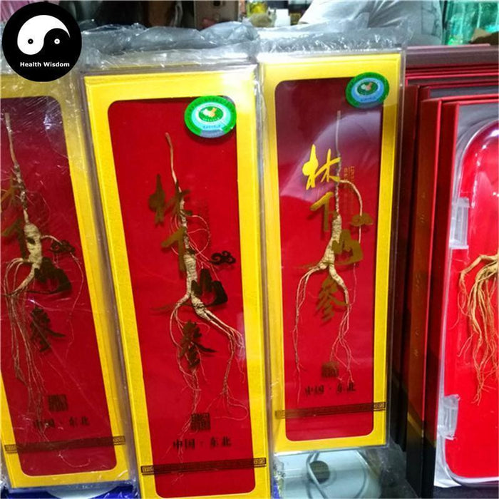 White Ginseng Roots Branches (Wild), 12 Years Panax Ginseng Roots, Bai Ren Shen 林下野人参-Health Wisdom™