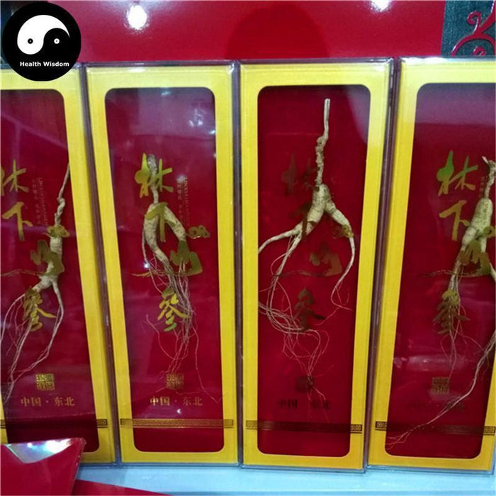 White Ginseng Roots Branches (Wild), 12 Years Panax Ginseng Roots, Bai Ren Shen 林下野人参