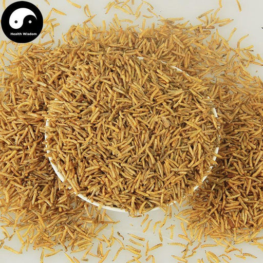 Wu Gu Chong 五谷虫, Chrysomyia Megacephala (Fabricius), worm of all sorts grains-Health Wisdom™