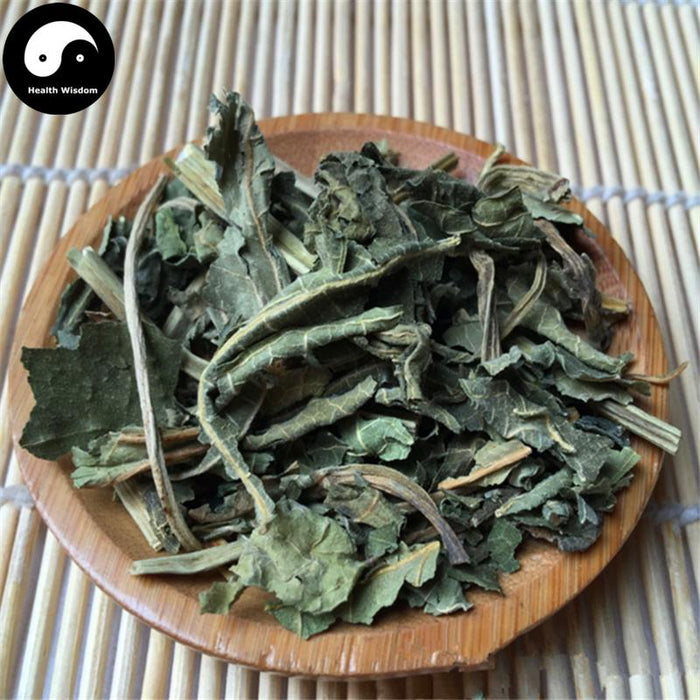 Wu Hua Guo Ye 无花果葉, Folium Ficus, Fig Leaf-Health Wisdom™