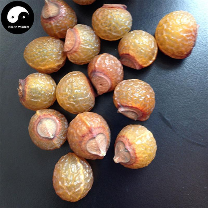 Wu Huan Zi 無患子, Chinese Soapberry Fruit, Fructus Sapindi Mukorossi, Sapindus-Health Wisdom™