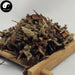 Xian He Cao 仙鶴草, Agrimonia Pilosa, Herba Gemma Agrimoniae, Hairyvein Agrimonia Herb