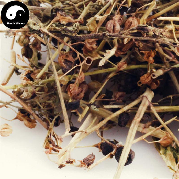 Xian Tao Cao 仙桃草, Purslane Speedwell Herb, Herba Veronicae Peregrinae-Health Wisdom™