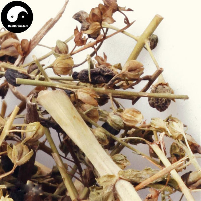 Xian Tao Cao 仙桃草, Purslane Speedwell Herb, Herba Veronicae Peregrinae