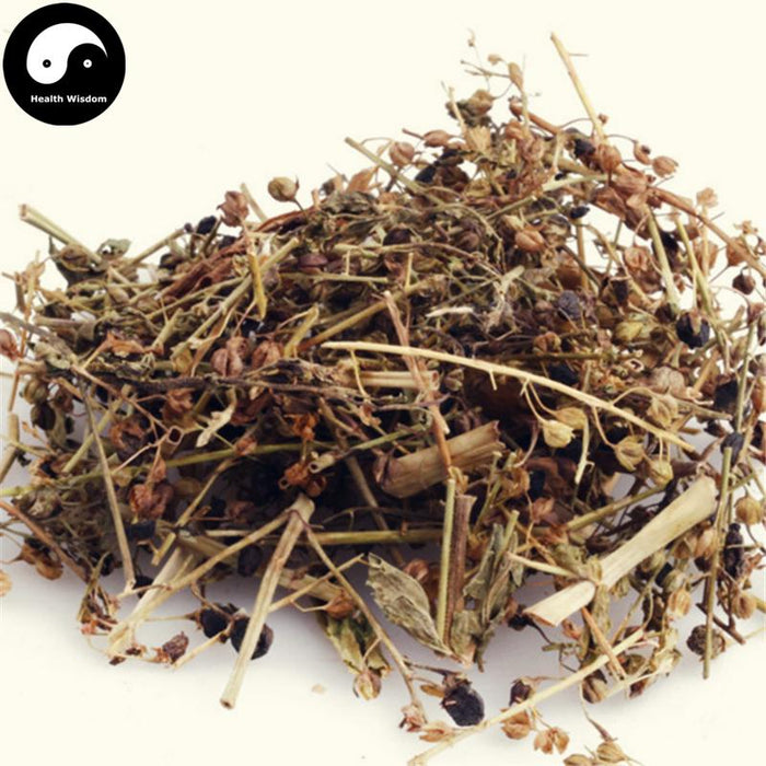 Xian Tao Cao 仙桃草, Purslane Speedwell Herb, Herba Veronicae Peregrinae-Health Wisdom™