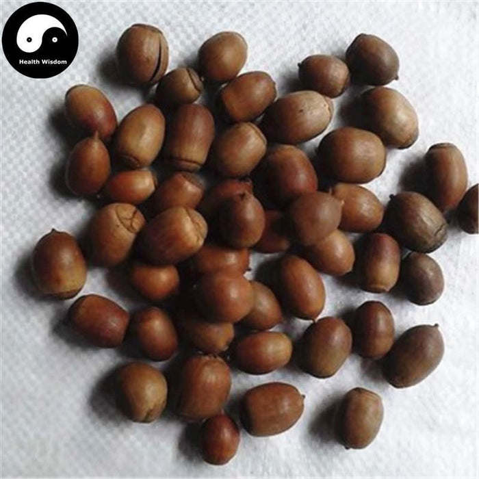 Xiang Shi 橡實, Sawtooth oak fruit, Fructus Querci Acutissimae