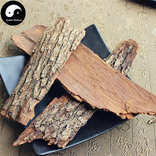 Xiang Zhang Shu Pi 香樟樹皮, Camphortree Bark, Cortex Cinnamomi Camphorae-Health Wisdom™