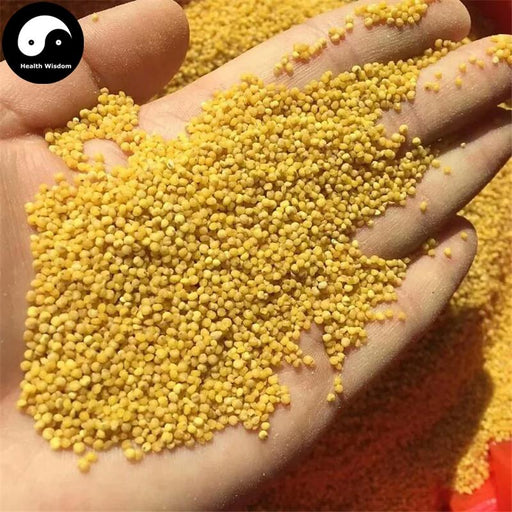 Xiao Huang Mi 小黄米, Herb Food Millet, Grain Millet-Health Wisdom™