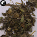 Xiao Ji 小薊, Herba Cirsii, Herba Cephalanoploris, Common Cephalanoplos Herb