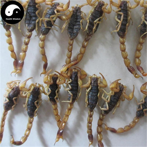 Xie Zi 蝎子, Dried Scorpions, Quan Xie
