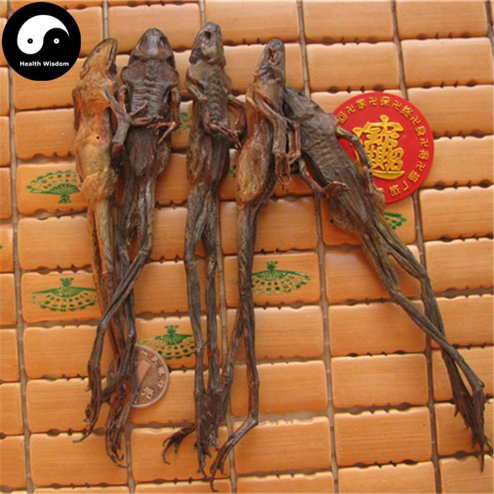 Xue Ha 雪蛤, Northeast Rana Chensinensis, Chinese Snow Clams/Frogs-Health Wisdom™