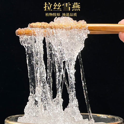 Xue Yan 雪燕, Sterculia Gum, Dried Herbal Collagen Gum Tragacanth-Health Wisdom™