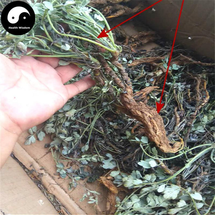 Yan Huang Lian 岩黄连, Herba Corydalis Saxicola Bunting, Yan Hu-Health Wisdom™