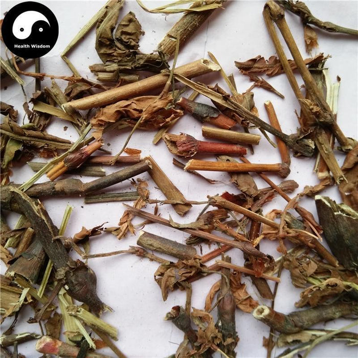 Yang Hong Shan 羊红膻, Herba Pimpinella Thellungiana, Liu Yue Han