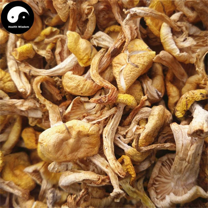 Yellow Mushroom, Wild Mushroom, Pleurotus Citrinopileatus, Yu Huang Mo 榆黄蘑